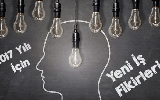 2017 için alternatif pratik Yeni İş Fikirleri